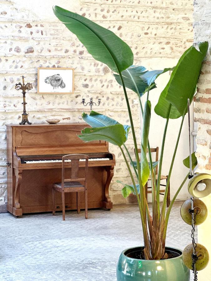 Magnifique Loft - Piscine - Tennis - Babyfoot Nîmes Eksteriør bilde