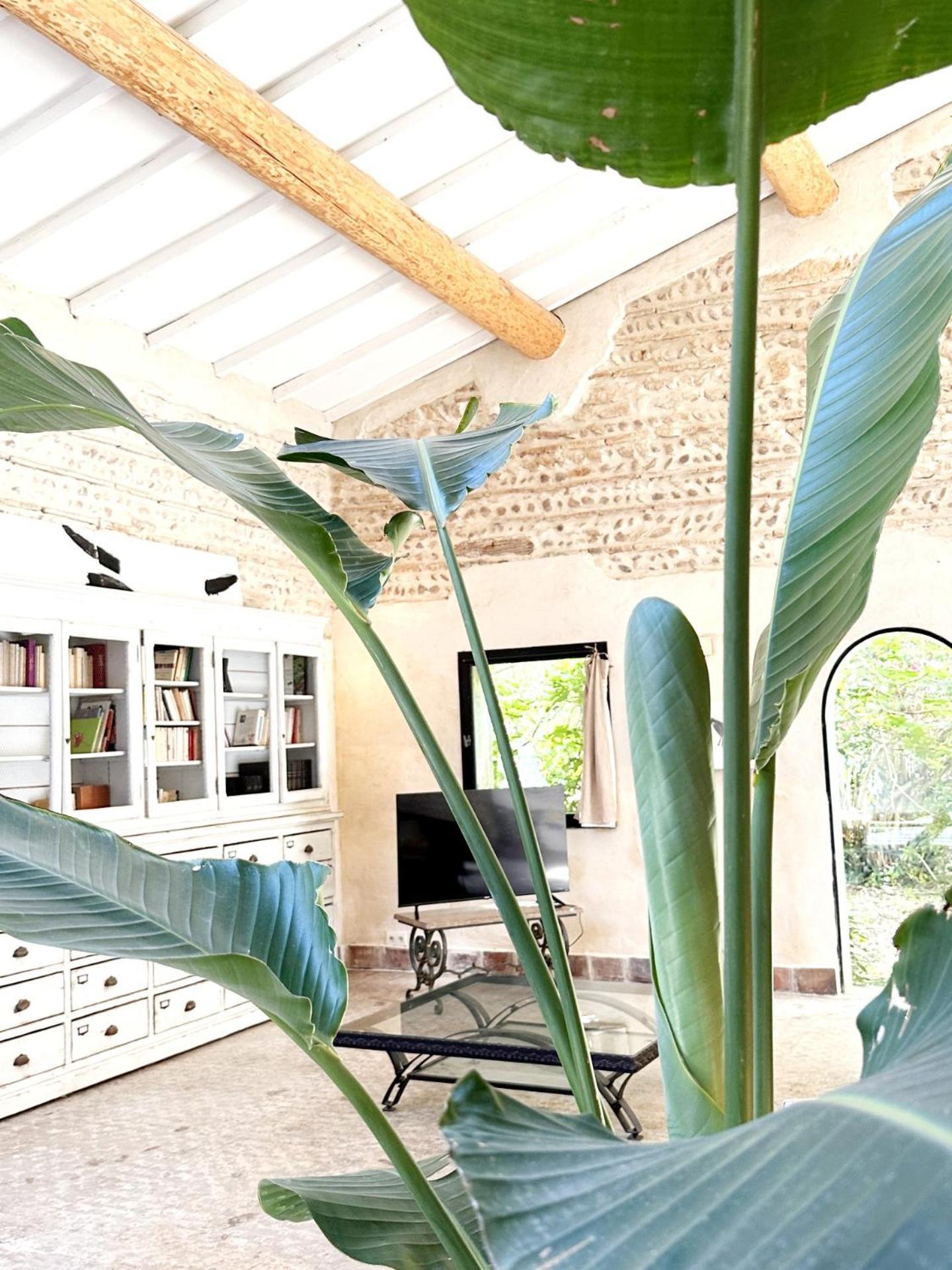 Magnifique Loft - Piscine - Tennis - Babyfoot Nîmes Eksteriør bilde